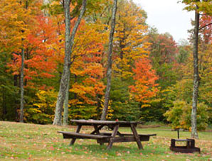 Cherry Ridge Campground, 147 Camp Road Honesdale, Pennsylvania 18431 Phone: 570-488-6654